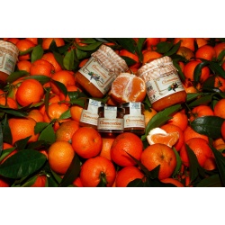 marmellata_di_clementine2